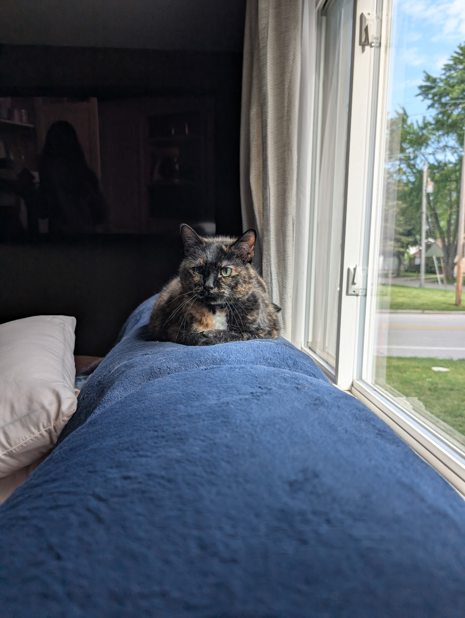 Bea sunbathing